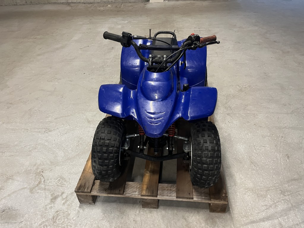 buzz 50cc quad te koop bij Jaap Verboon